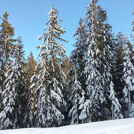 Sarah Apartamento Schruns